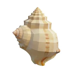 Paua shell