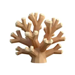 Piece of coral