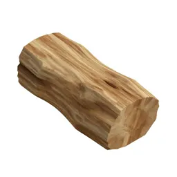 Piece of petrified wood