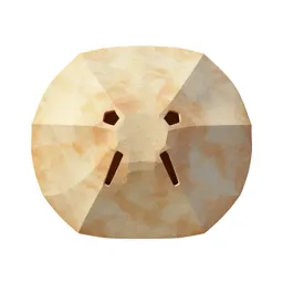Sand dollar