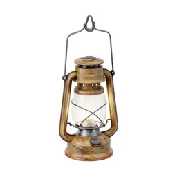 Camping lantern hook