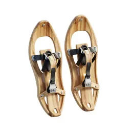 Snow shoe