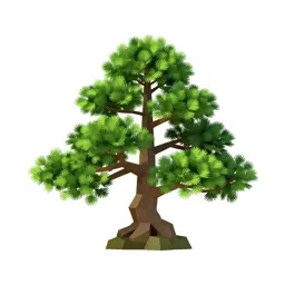 Bonsai juniper