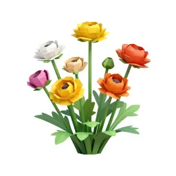 Bunch of ranunculus