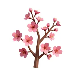 Cherry blossom branch