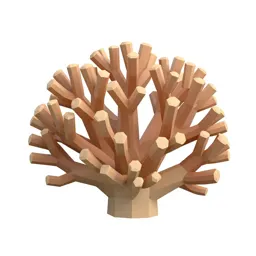 Coral fungus