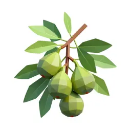 Fig branch with fruit