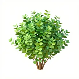 Flax bush