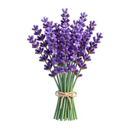 Lavender bunch tied with twine
