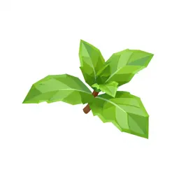 Mint cutting in water