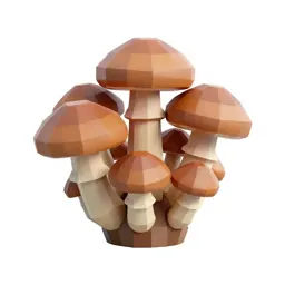 Mushroom cluster on bark