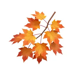 Autumn maple branch