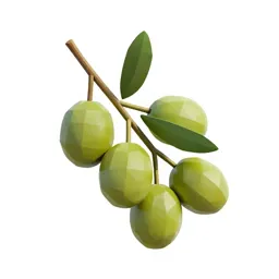 Olive branch