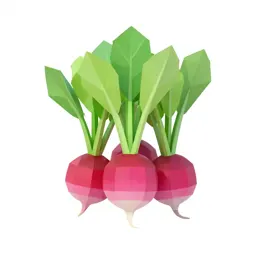 Bunch of radishes with tops