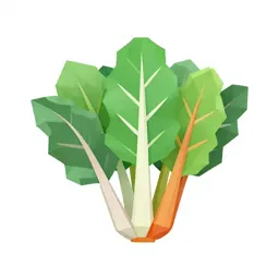 Bunch of rainbow chard