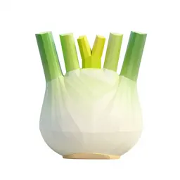 Fennel bulb