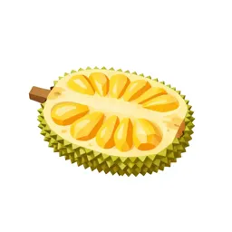 Jackfruit segment