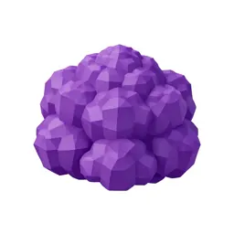 Purple cauliflower