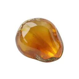 Amber specimen