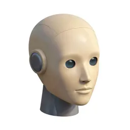 Humanoid robot head
