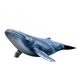 Blue whale