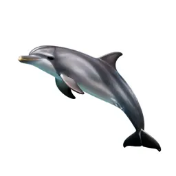 Dolphin mid-leap