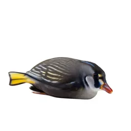 Regal tang