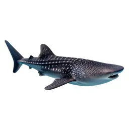 Whale shark with remoras