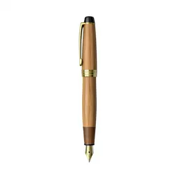 Fountain pen