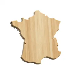 French curve template