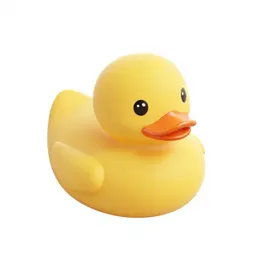 Rubber duck