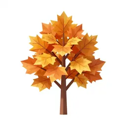 Beech in autumn