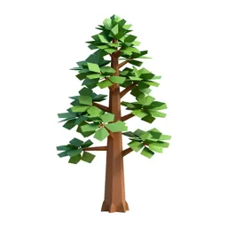 Coastal redwood