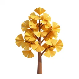 Gingko in autumn