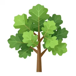 English oak in full leaf