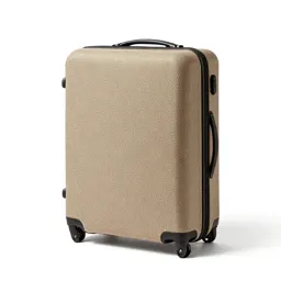 Baggage claim