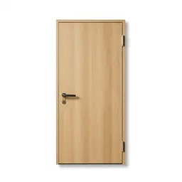 Cargo door