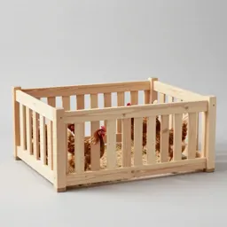 Chicken yard