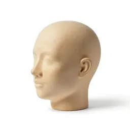 Head