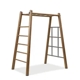 Jungle gym