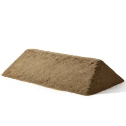 Levee