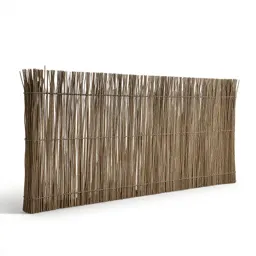 Palisade