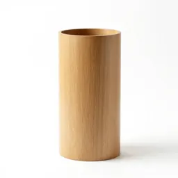 Plenum