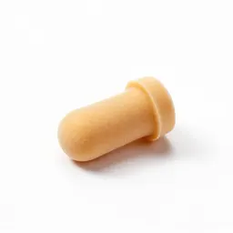 Earplug