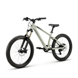 Trail bike