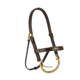Bridle with brass fittings