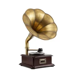 Phonograph with a horn