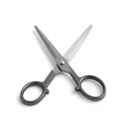 Pair of grooming scissors