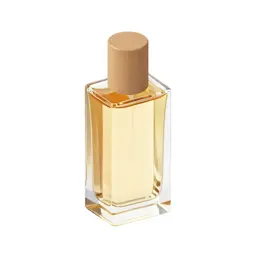 Perfume atomiser