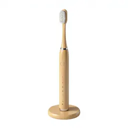 Electric toothbrush on a stand